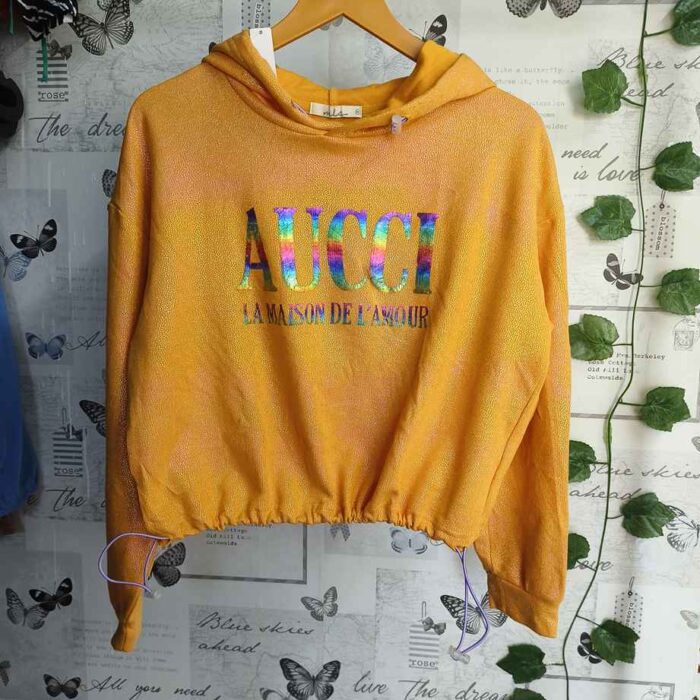 AUCCI Metallic Hoodie